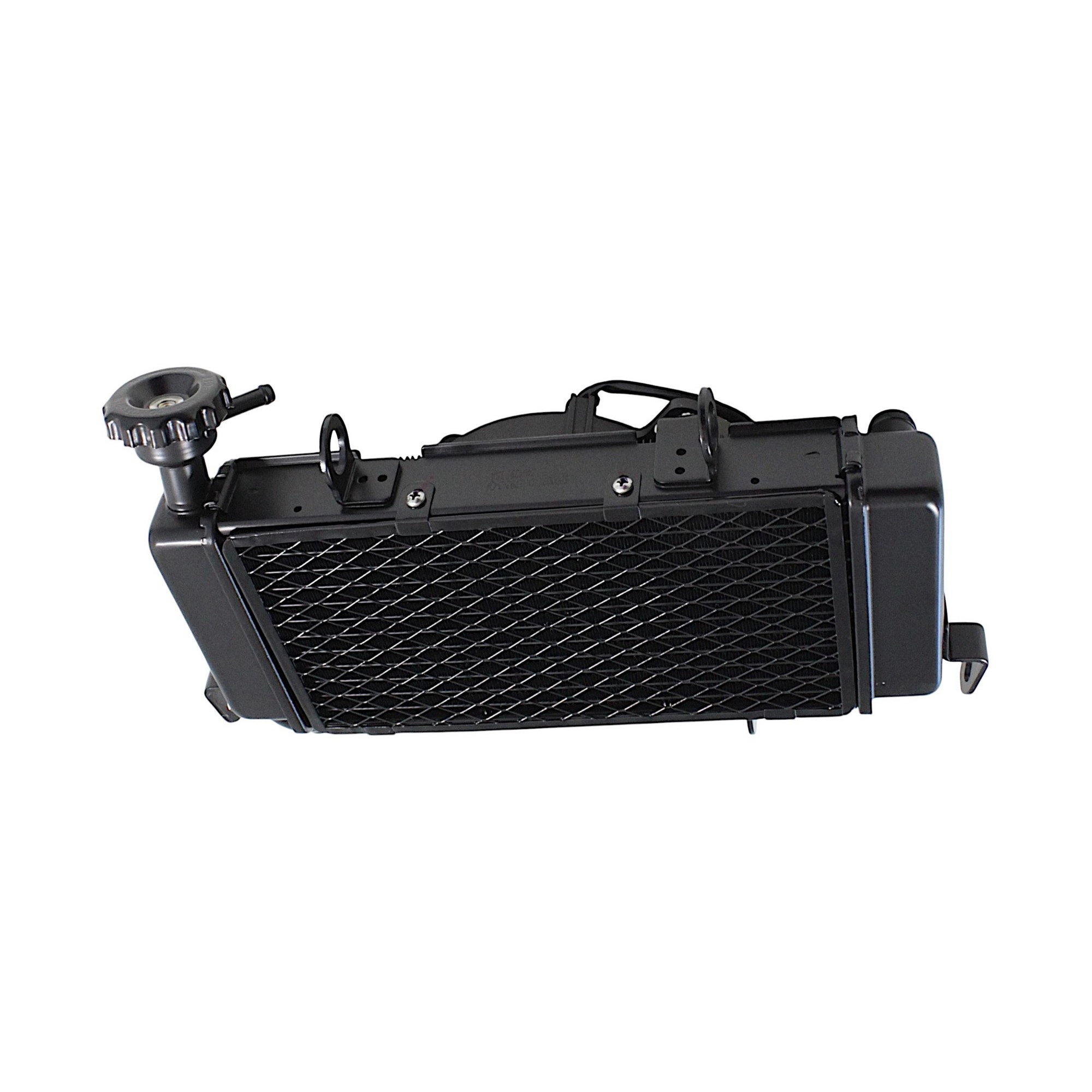 QJ MOTOR SRK 125-R RADYATÖR VE FAN EURO5 PLUS #RK 53869